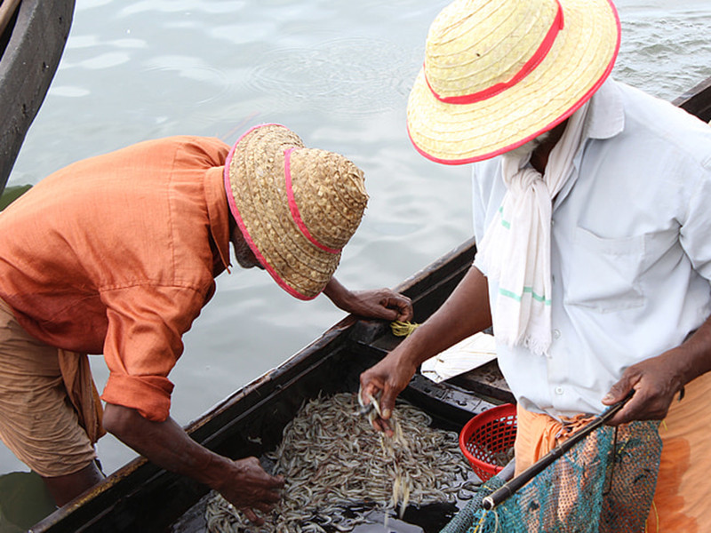水產(chǎn)養(yǎng)殖檢測儀測定水質(zhì) 水產(chǎn)養(yǎng)殖檢測儀測定水質(zhì)