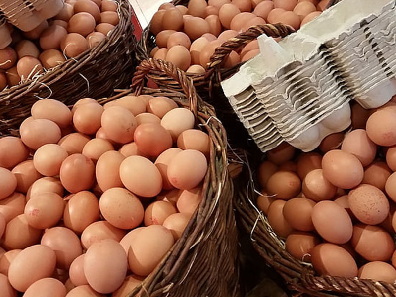 雞蛋藥物殘留檢測儀可用于禽蛋中的獸藥檢測