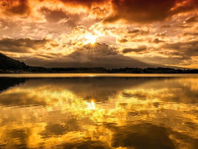 水質(zhì)大腸桿菌在線監(jiān)測(cè)儀價(jià)格