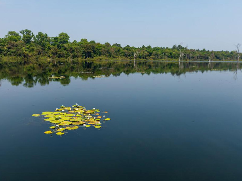 水產(chǎn)養(yǎng)殖水質(zhì)標準參數(shù)