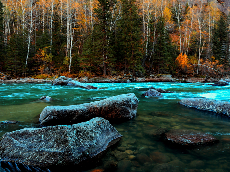 水質(zhì)總磷檢測步驟及注意事項(水質(zhì)總磷檢測的常用方法)