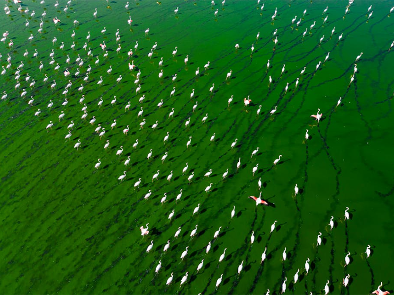 氨氮總氮檢測(cè)儀類型（氨氮總氮檢測(cè)儀適用場(chǎng)景）