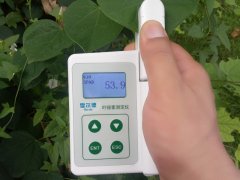 怎樣檢測(cè)活體植物的葉綠素含量？